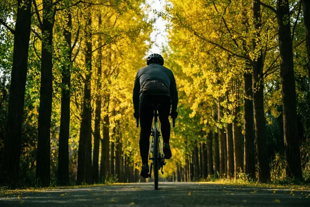 Een fietser met een helm rijdt van de kijker weg over een verhard pad tussen hoge bomen met goudgele bladeren waar warm zonlicht doorheen valt.