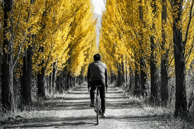 Een fietstocht tussen herfstgoud