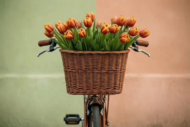 Een fietsmand vol lentekleur