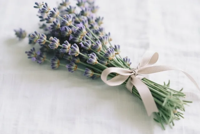 Een bundeltje gedroogde lavendel met een beige lint ligt op een witte linnen doek in zacht licht.