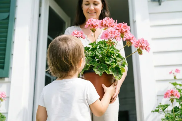 Een klein kind, van achteren gezien, houdt een pot roze geraniums omhoog naar zijn moeder aan de voordeur, naast witte gevelbekleding en groene luiken.