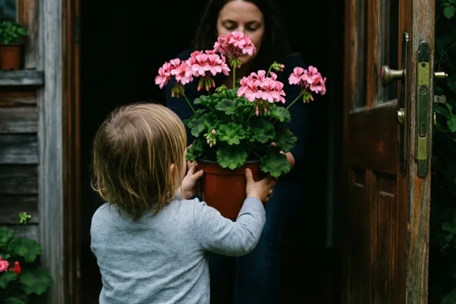 Een blond kind, van achteren gezien, houdt een pot roze geraniums omhoog naar zijn moeder bij een houten deur.
