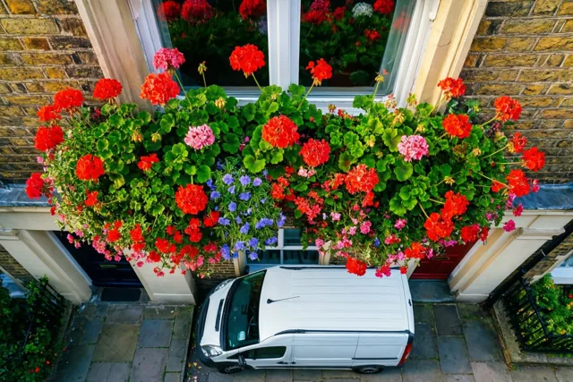 Een fleurig nieuw adres