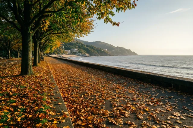Een wandelpromenade langs een grijze zee is bedekt met gouden herfstbladeren en omzoomd door bomen, in warm en zacht licht.