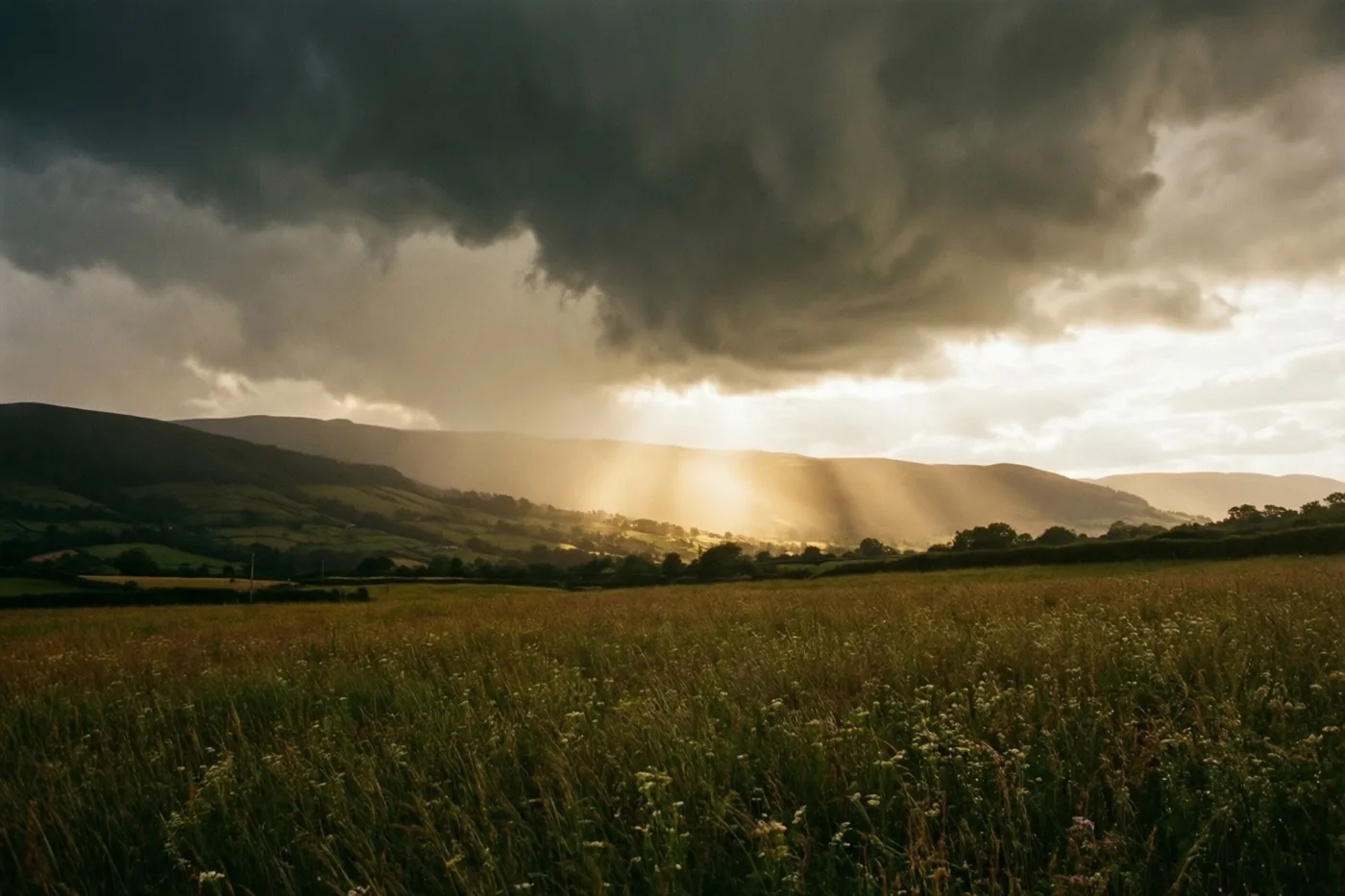 Hoog gras staat onder een zware donkergrijze regenwolk, met glooiende heuvels op de achtergrond die door gouden zonlicht worden verlicht.