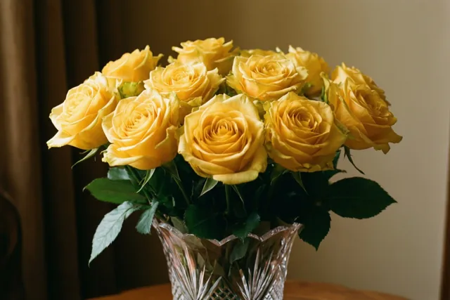 Gouden rozen voor jou
