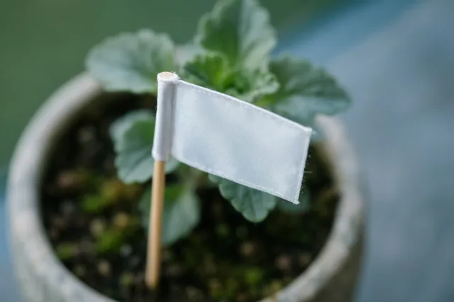 Een wit vlaggetje op een houten stokje staat bij een groene plant in een pot, tegen een onscherpe groen-blauwe achtergrond.