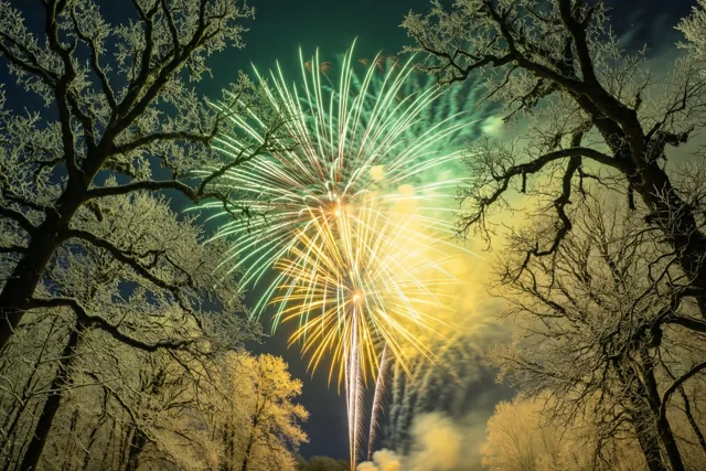 Groen en geel vuurwerk barst los boven kale, berijpte eikentakken in de donkere nacht.