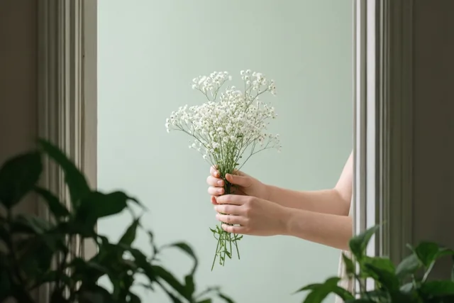 Twee handen houden een klein boeketje wit gipskruid vast, omlijst door een raam met een lichtgroene muur erachter en onscherpe groene planten op de voorgrond.