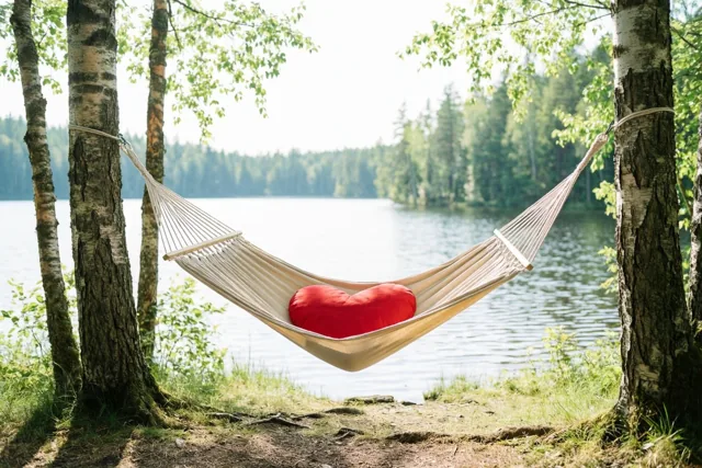 Een beige hangmat met een rood hartvormig kussen hangt tussen twee berken bij een rustig meer in een zonnig groen bos, met bomen aan de overkant.