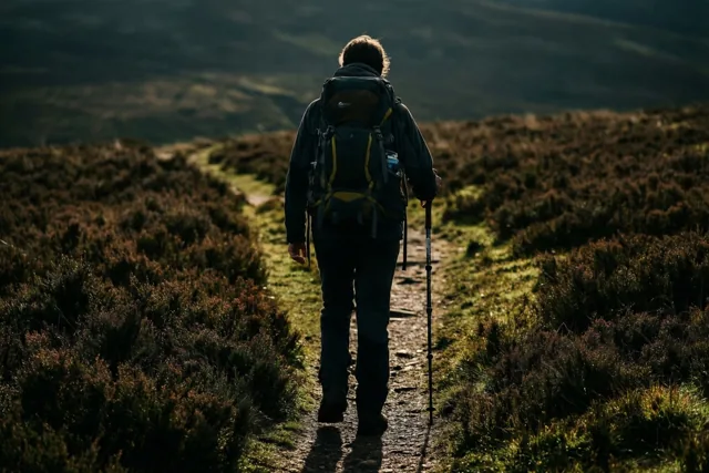 Een wandelaar met rugzak en wandelstok loopt van de kijker weg over een smal pad door de heide in laag, warm zonlicht.
