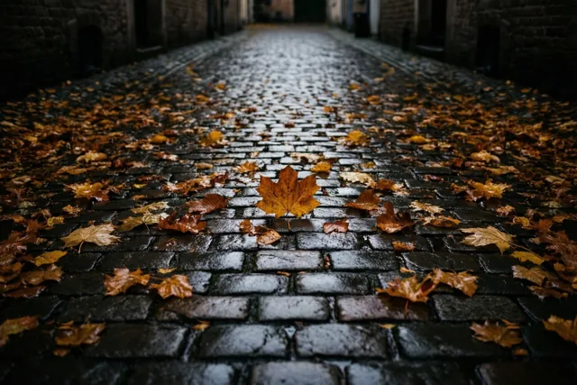 Vanuit een laag standpunt zijn herfstbladeren op natte grijze kasseien in een smal steegje te zien, in donkergrijze, bruine en gedempt oranje tinten.