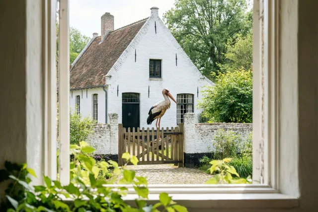 Door een raamkozijn is een witgekalkte Vlaamse hoeve te zien met een houten ooievaar op de poort, omringd door een weelderig groene tuin.