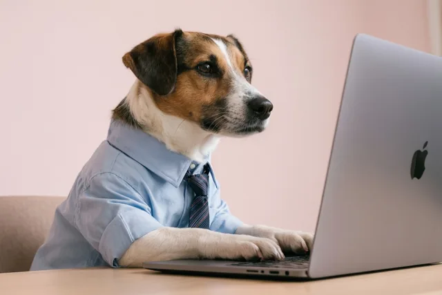Een hond in een lichtblauw hemd en een gestreepte das zit aan een houten bureau met zijn poten op een zilverkleurige laptop, voor een lichtroze muur.