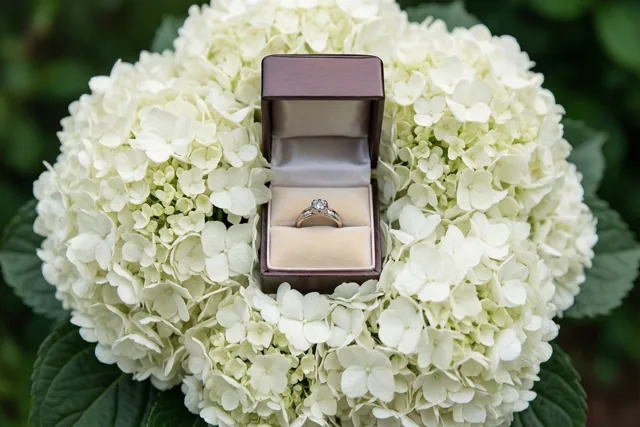 Een open donkerhouten doosje met een zilveren ring ligt in het midden van een groot, rond boeket witte hortensia’s tegen een onscherpe groene achtergrond.