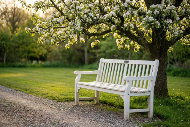 Een witte houten tuinbank staat op een grindpad naast een groen gazon onder een perenboom met witte bloesems in zacht warm licht.