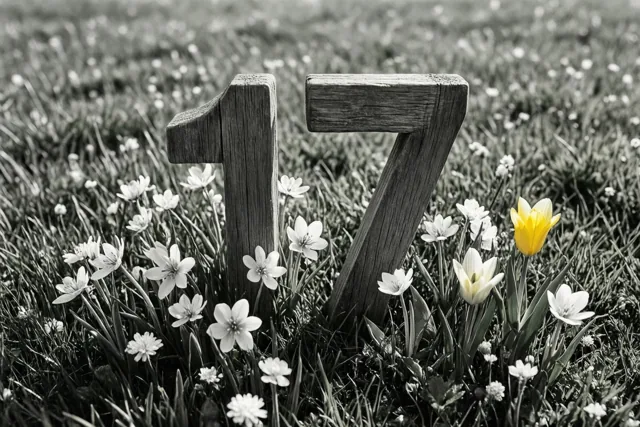 Houten cijfers 17 staan in een grasweide met lentebloemen in zwart-wit, terwijl één gele tulp in kleur is weergegeven.
