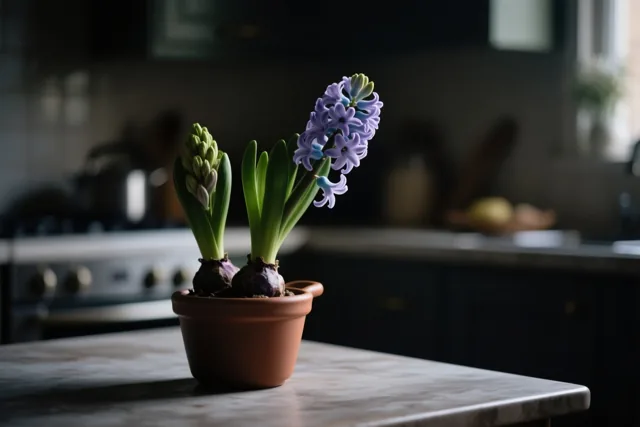 De lente komt binnen