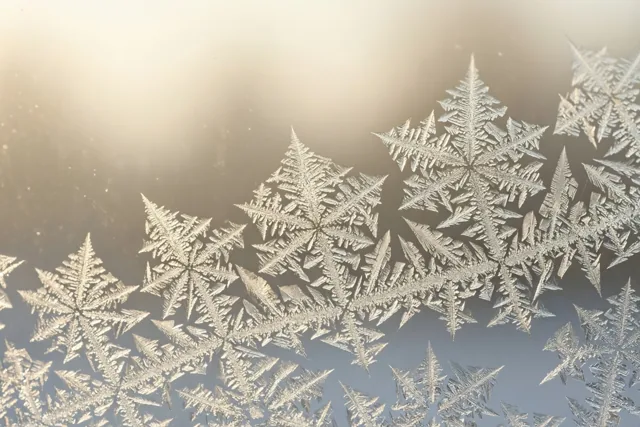 IJskristallen vormen fijne patronen op een ruit en vangen het eerste licht, in koele witte en lichtgouden tinten.