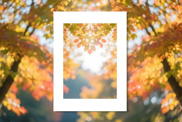Een ingelijste foto toont zonlicht door kleurrijke herfstbladeren met zachte, onscherpe lichtvlekken op de achtergrond.
