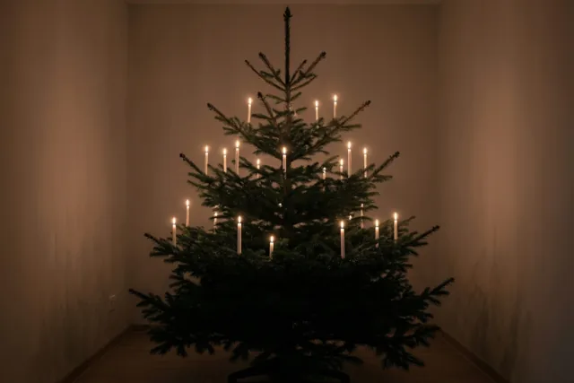 Echte kaarsen branden op de takken van een kerstboom in een schemerige kamer met donkergroene, warmbeige en zachtgele tinten.