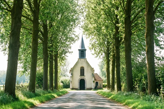 Een kleine kapel met een spitse toren staat aan het einde van een verharde landweg tussen hoge groene bomen, in helder zonlicht onder een bleke hemel.
