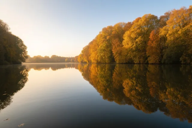 Een spiegel in de Kempen