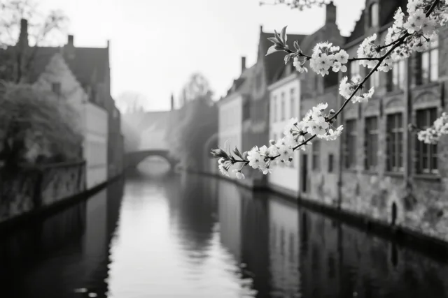 Een zwart-witfoto toont een bloeiende kersentak boven rustig water, met historische gebouwen en een brug onscherp op de achtergrond.