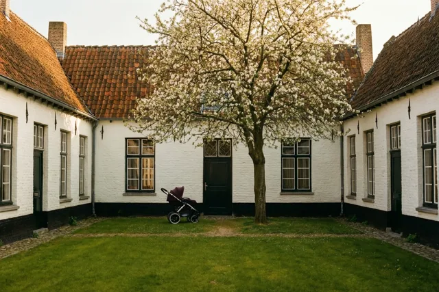 Op een rustig binnenplein met witte begijnhofhuisjes en rode pannendaken staat een kinderwagen bij een deur, naast een bloeiende boom in zacht warm licht.