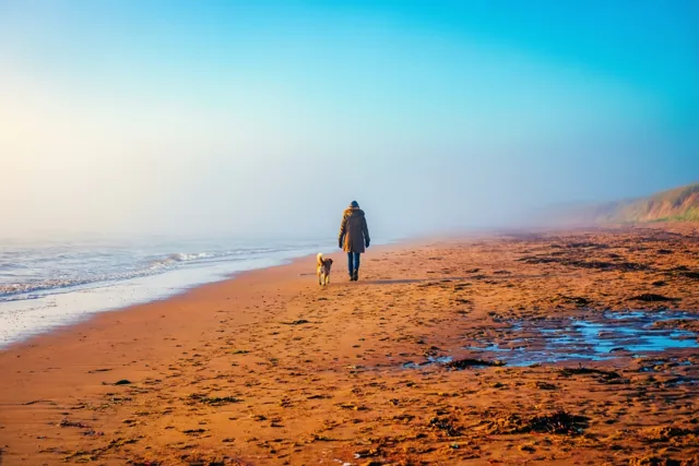 Een persoon in een jas wandelt met een kleine hond over een mistig, oranje getint strand, met links de zee onder een blauw-witte hemel.