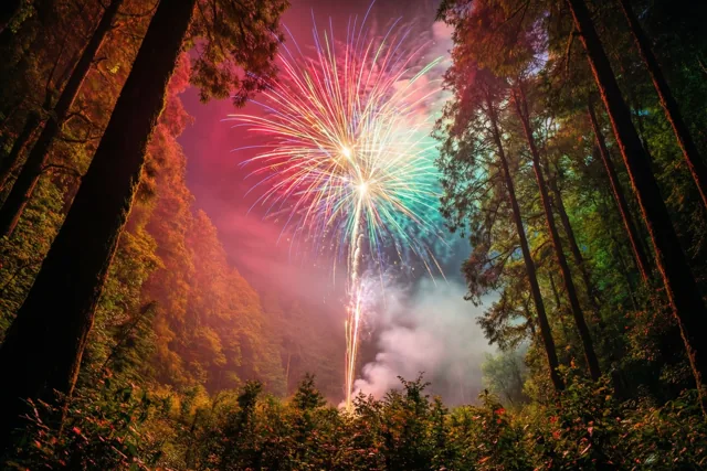 Rood, groen en goudkleurig vuurwerk verlicht de nachtelijke hemel boven een mistig bos, met hoge bomen aan weerszijden.