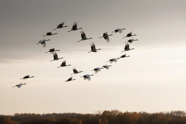 November draagt herinneringen
