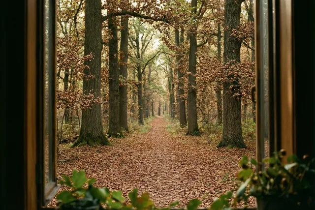Door een raam is een kronkelend pad tussen hoge eiken te zien, bedekt met bruine bladeren en eikels in warm goudkleurig licht.