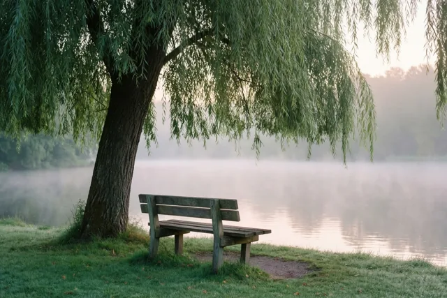 Een lege houten bank staat onder een treurwilg naast een mistig meer bij het ochtendgloren, in zachte groene en grijze tinten.