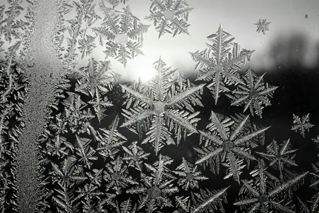 IJskristallen vormen gedetailleerde patronen op een ruit met het eerste licht van achteren, in een monochroom beeld met heldere ijsvormen tegen een donkere achtergrond.
