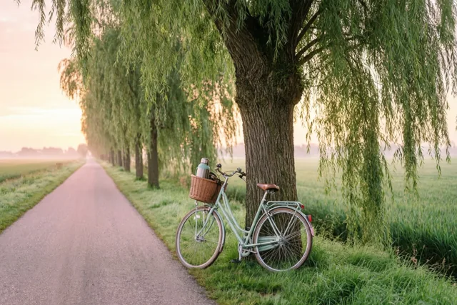 Een fietsweekend in de polders
