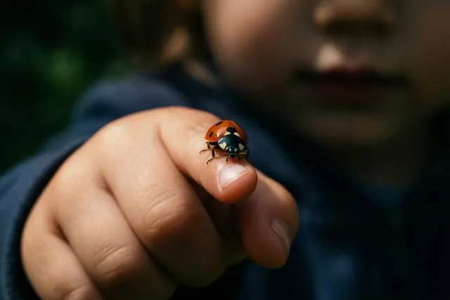 Een lieveheersbeestje zit op de vingertop van een klein kind, met het gezicht van het kind onscherp op de achtergrond.