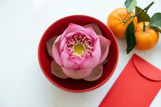 Een lotus vol nieuwjaarsgeluk