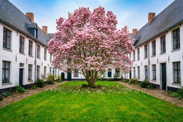 Een hofje vol lente