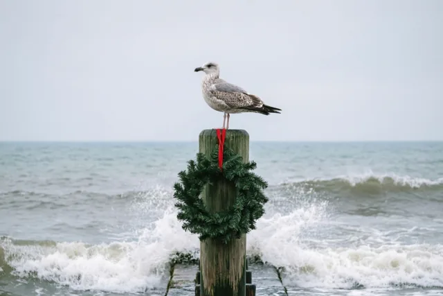 Kerstgezelschap aan de branding