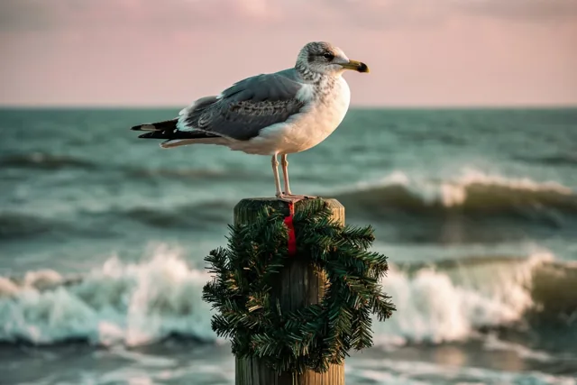 Een meeuw zit op een houten paal met een groene kerstkrans, met brekende zeegolven op de achtergrond in zachte roze en blauwgroene tinten.