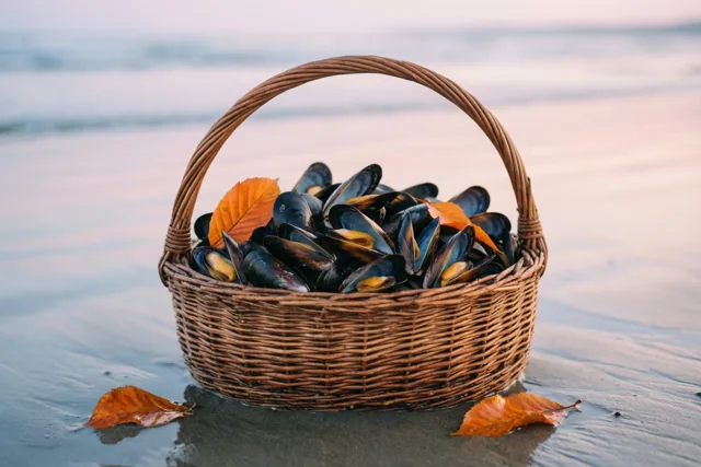 Een rieten mand met mosselen en oranje bladeren staat op nat strandzand bij laagwater, met zachte golven op de achtergrond in warm licht.