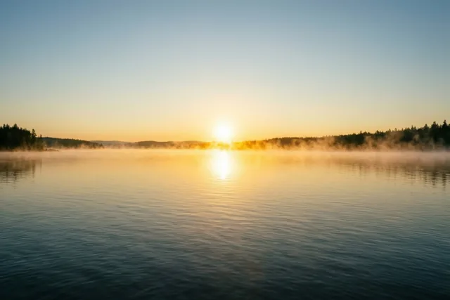 De zon komt op boven een rustig meer met optrekkende mist en bomen in de verte, onder een heldere hemel in gele, blauwe en donkergroene tinten.