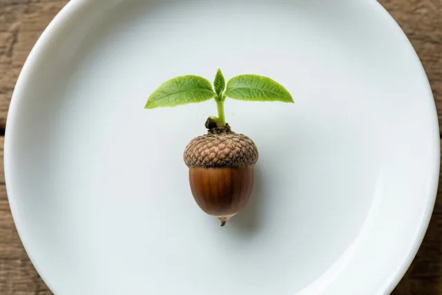 Kleine kiem van hoop