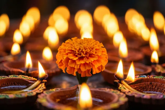 Diwali in bloem en licht
