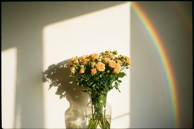Een glazen vaas met oranje rozen staat op een witte ondergrond en werpt in warm zonlicht een schaduw en een regenboog op de muur.