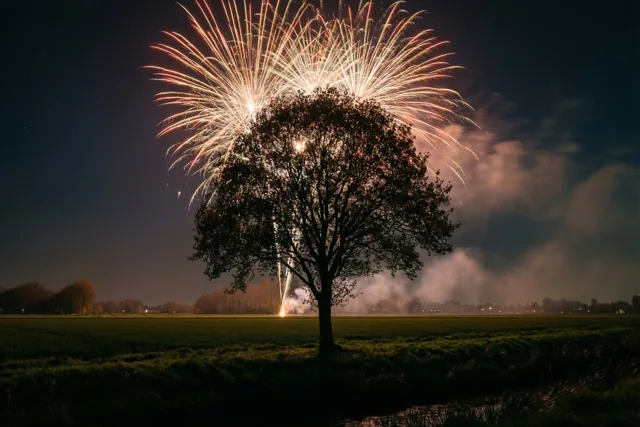 Een weids en sprankelend jaar