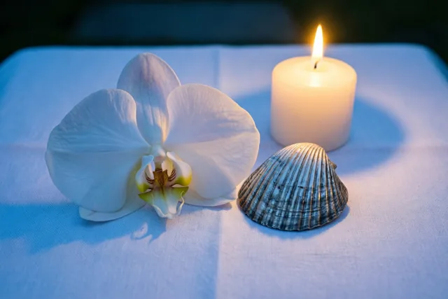Een orchidee bij het dooplicht