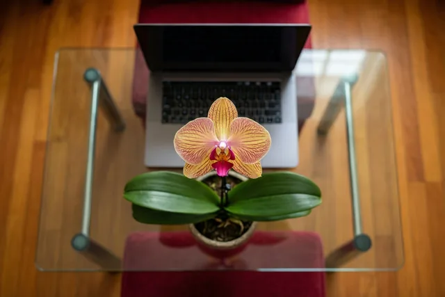 Kleur voor je nieuwe werkplek
