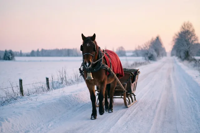 Een bruin paard met een rode deken en een bel trekt een houten slee over een besneeuwde landweg onder een roze en blauwe schemerhemel.